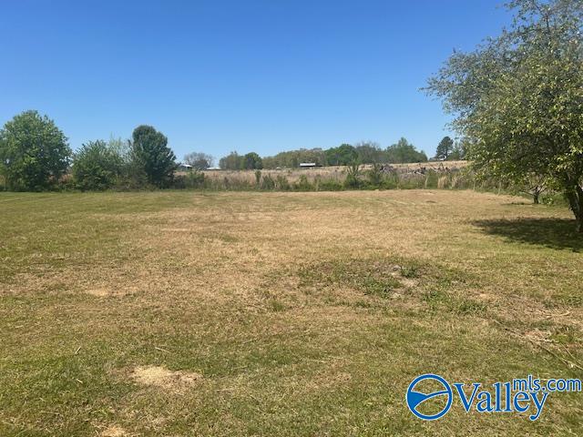 4123 County Road 1570, Baileyton, Alabama image 20