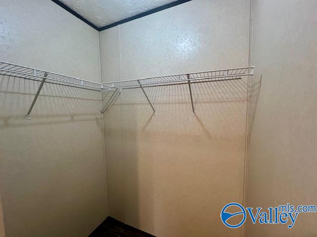 4123 County Road 1570, Baileyton, Alabama image 13