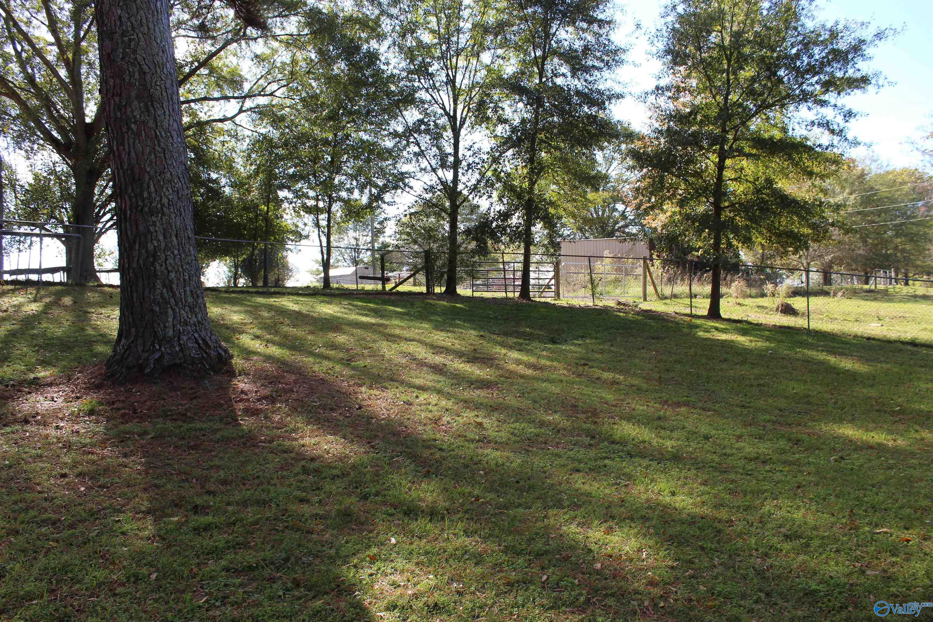 168 County Road 249, Moulton, Alabama image 37