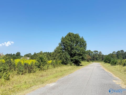 Vacant Land For Sale - 1 ACRE LOT County Road 487<br/> Moulton, AL 35650