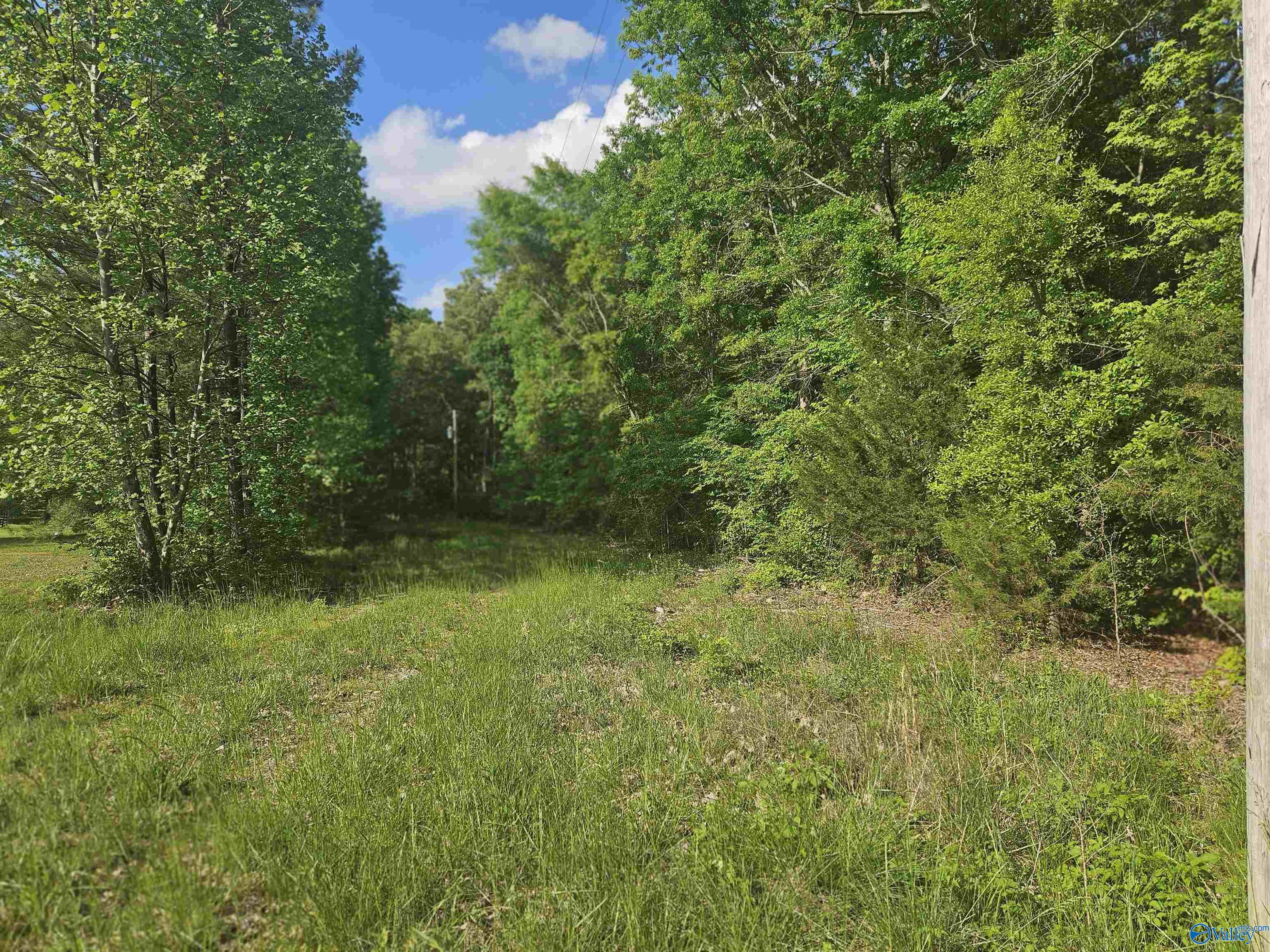 26096 Children Lane, Athens, Alabama image 6