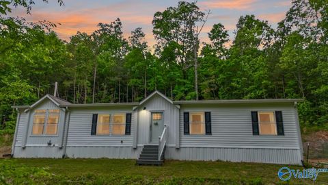 Mobile Home For Sale - 67 Mcdonald Road<br/> Guntersville, AL 35976