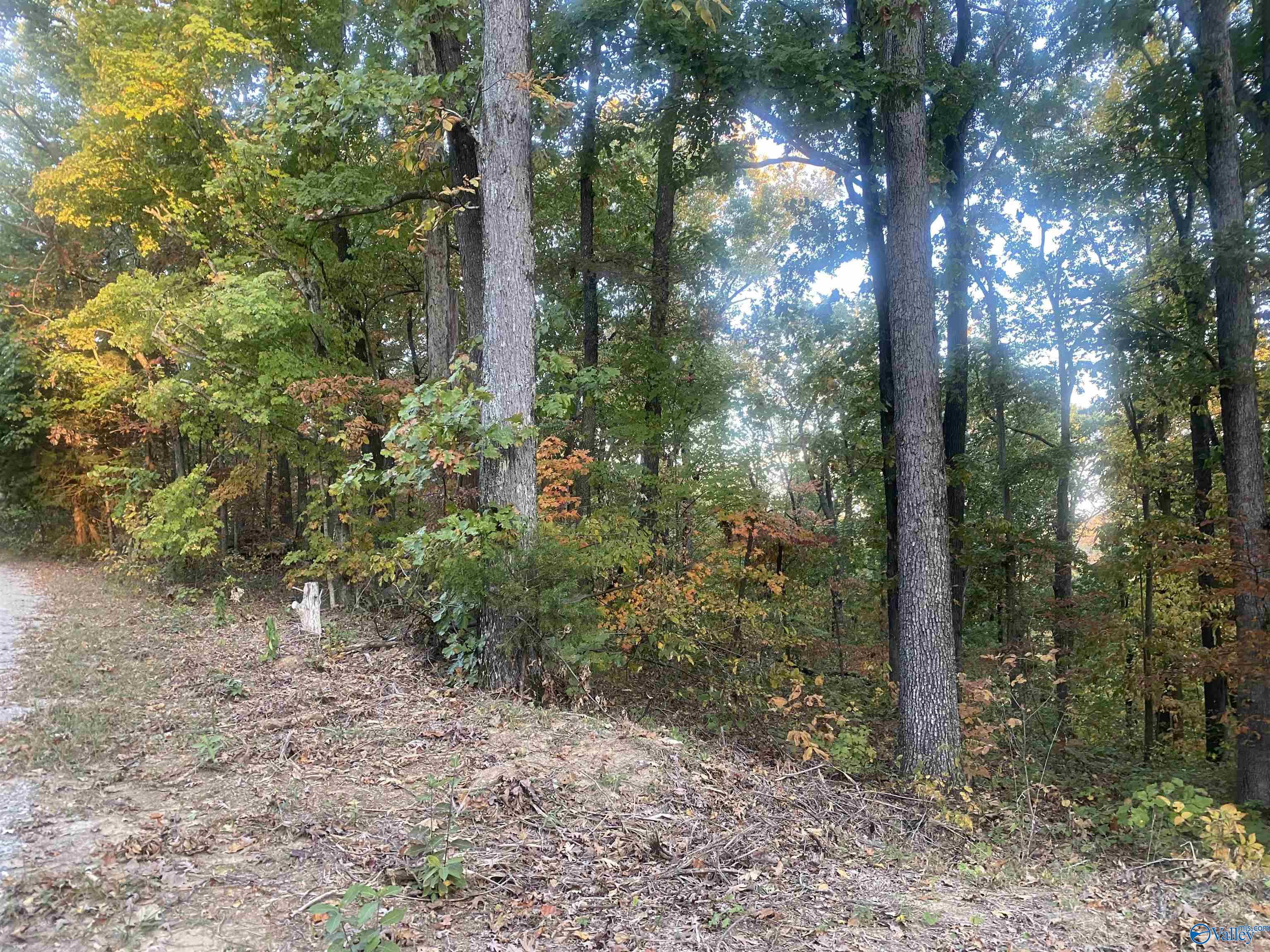 6.7 North Side Private Drive, Laceys Spring, Alabama image 8