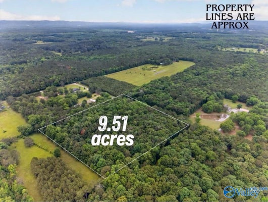 243 FRIENDSHIP RD, RAINBOW CITY, AL 35906 - Image 27d76e475cdd586af757dbbe296c2b5e/2693806435