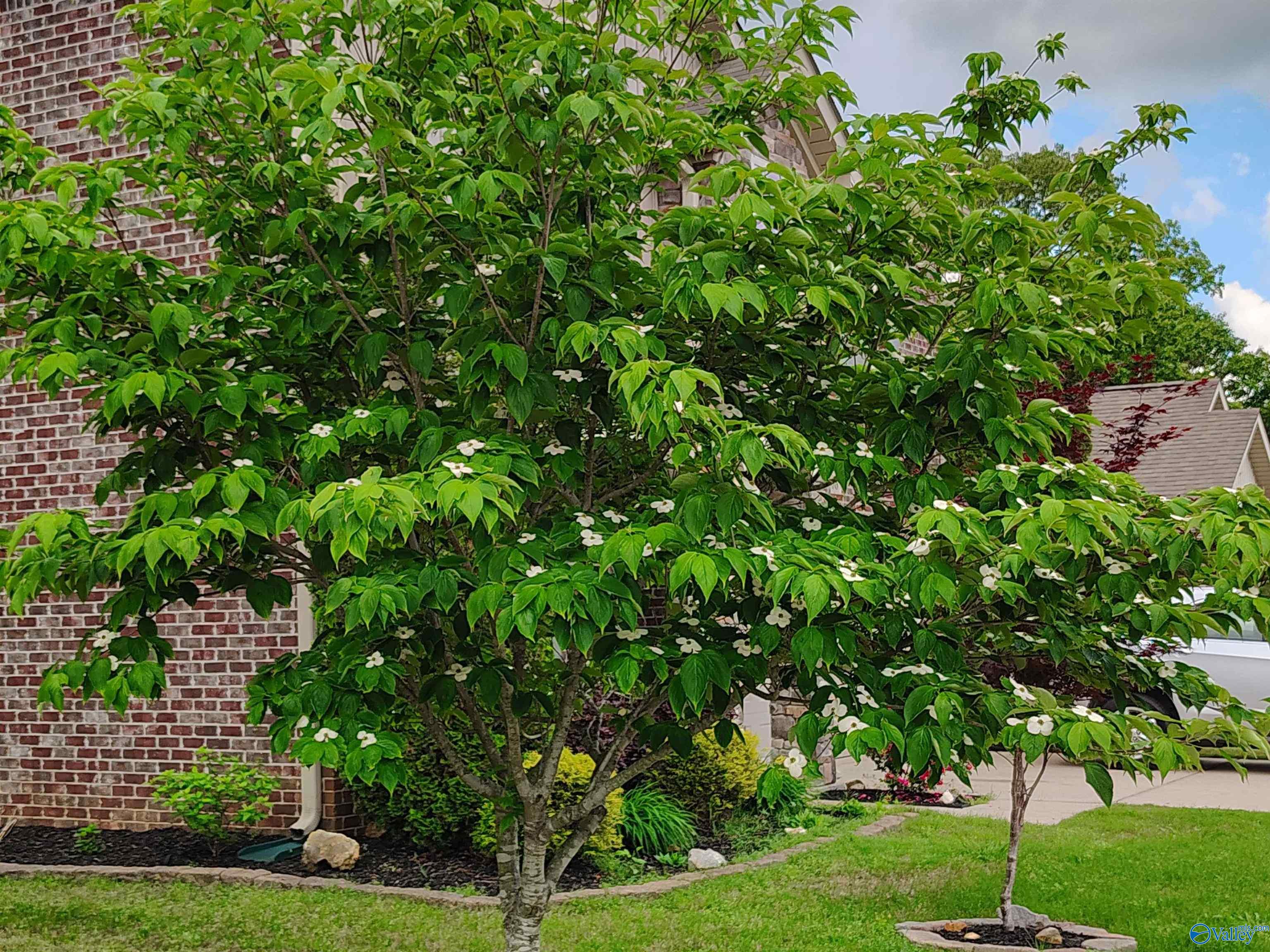 1810 Clayton Cove Drive, Madison, Alabama image 3