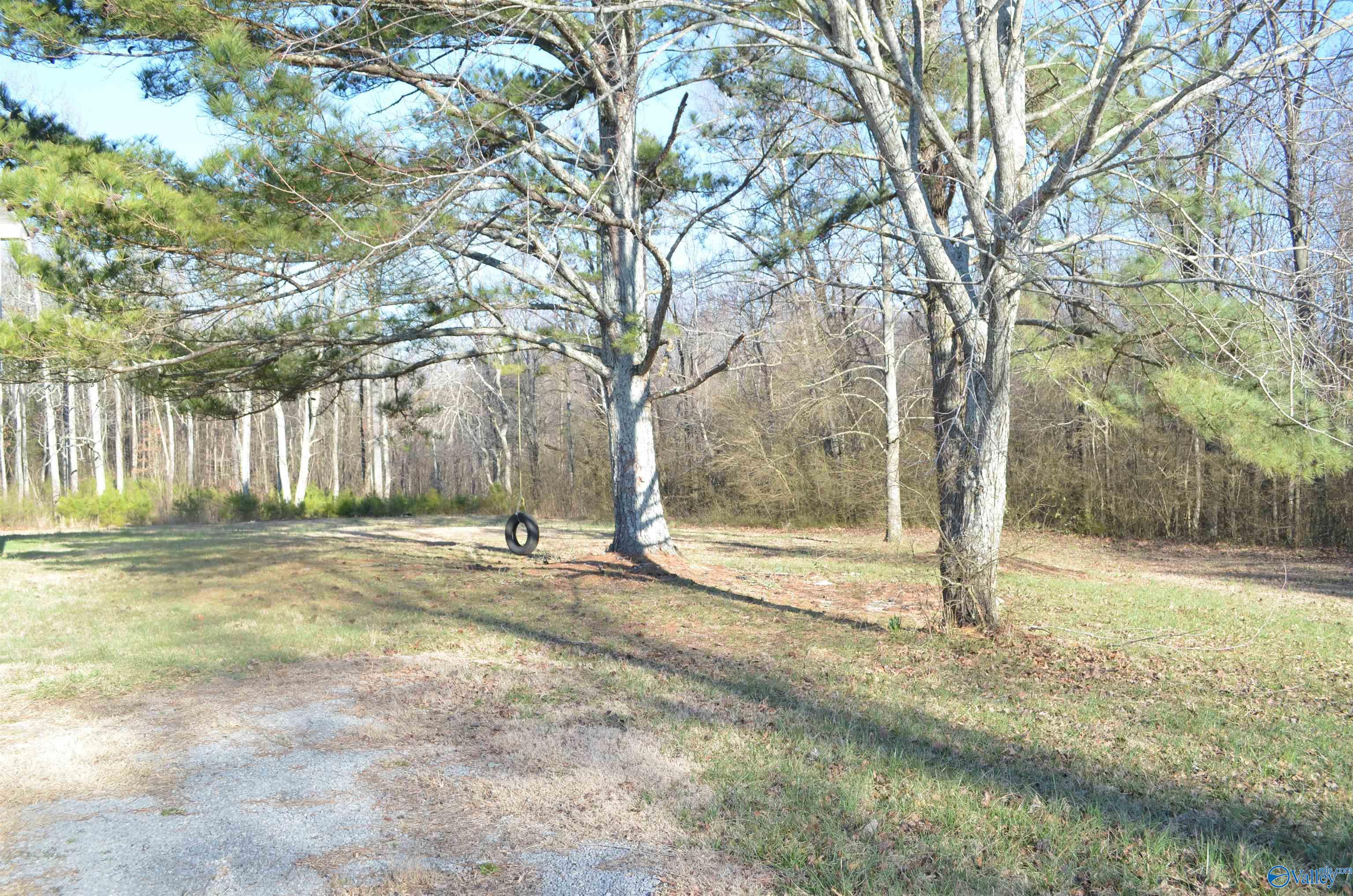 16435 Alabama Highway 71, Pisgah, Alabama image 3