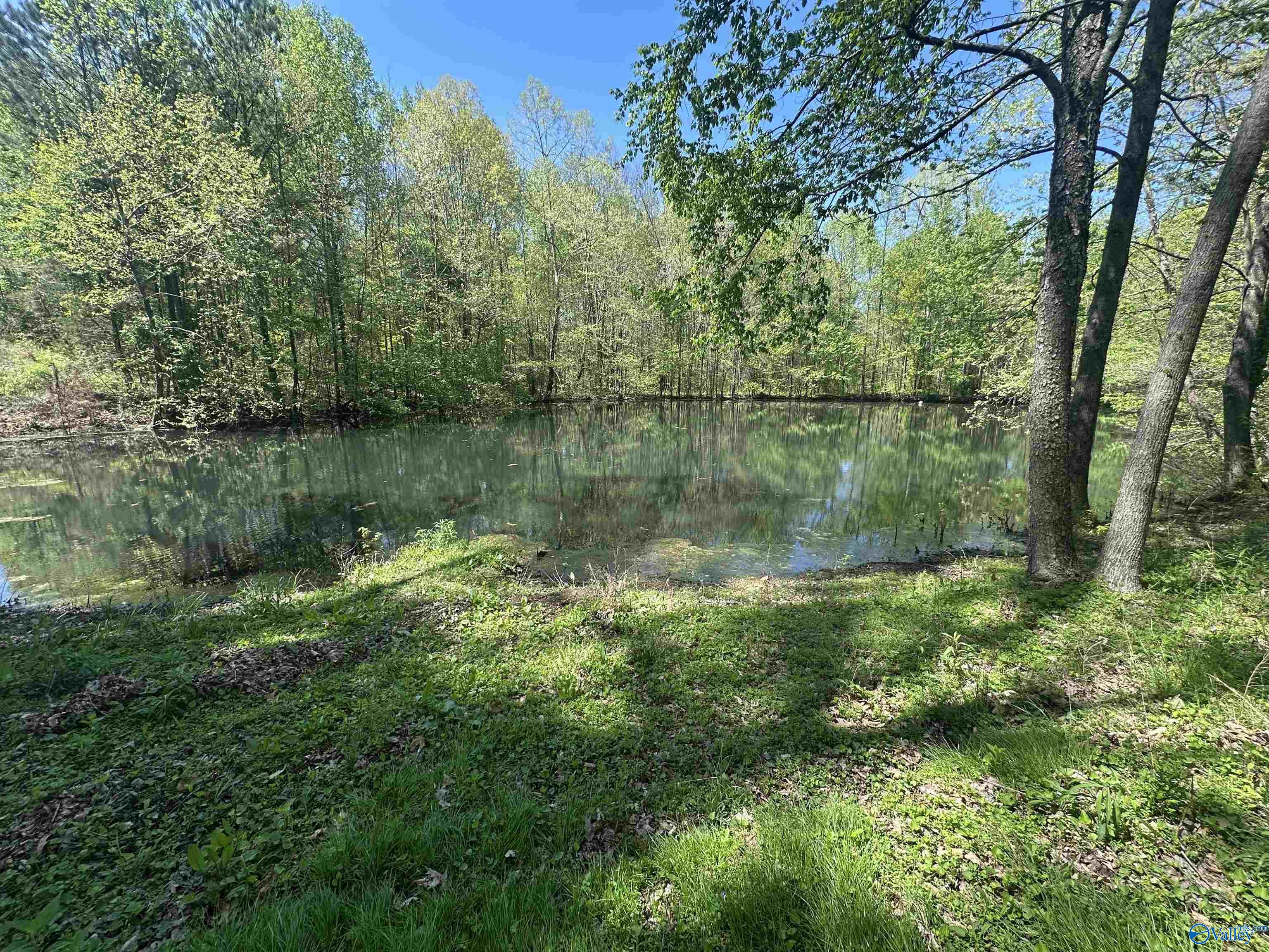 Lot 5 Taylor Road, Elkmont, Alabama image 3