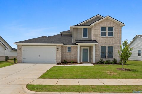 Homes For Sale - 21971 Huntington Pike<br/> Limestone County, Athens, AL 35613