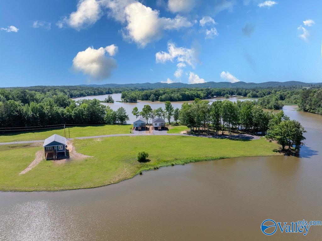 91 County Road 1057, Cedar Bluff, Alabama image 11