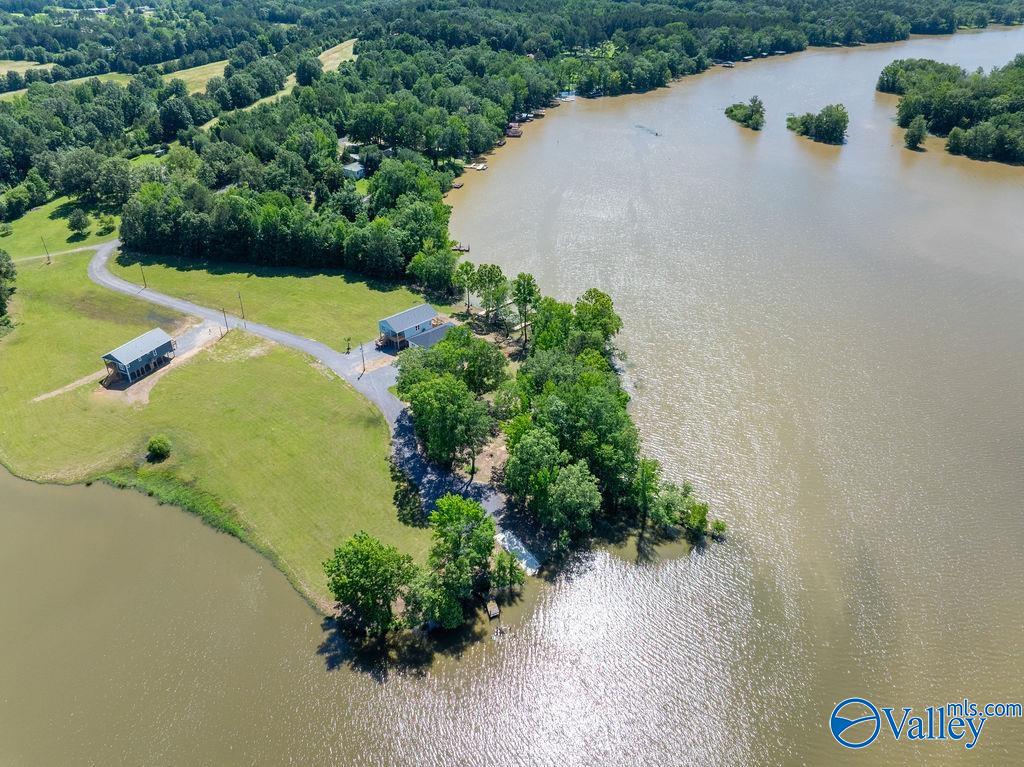 91 County Road 1057, Cedar Bluff, Alabama image 12