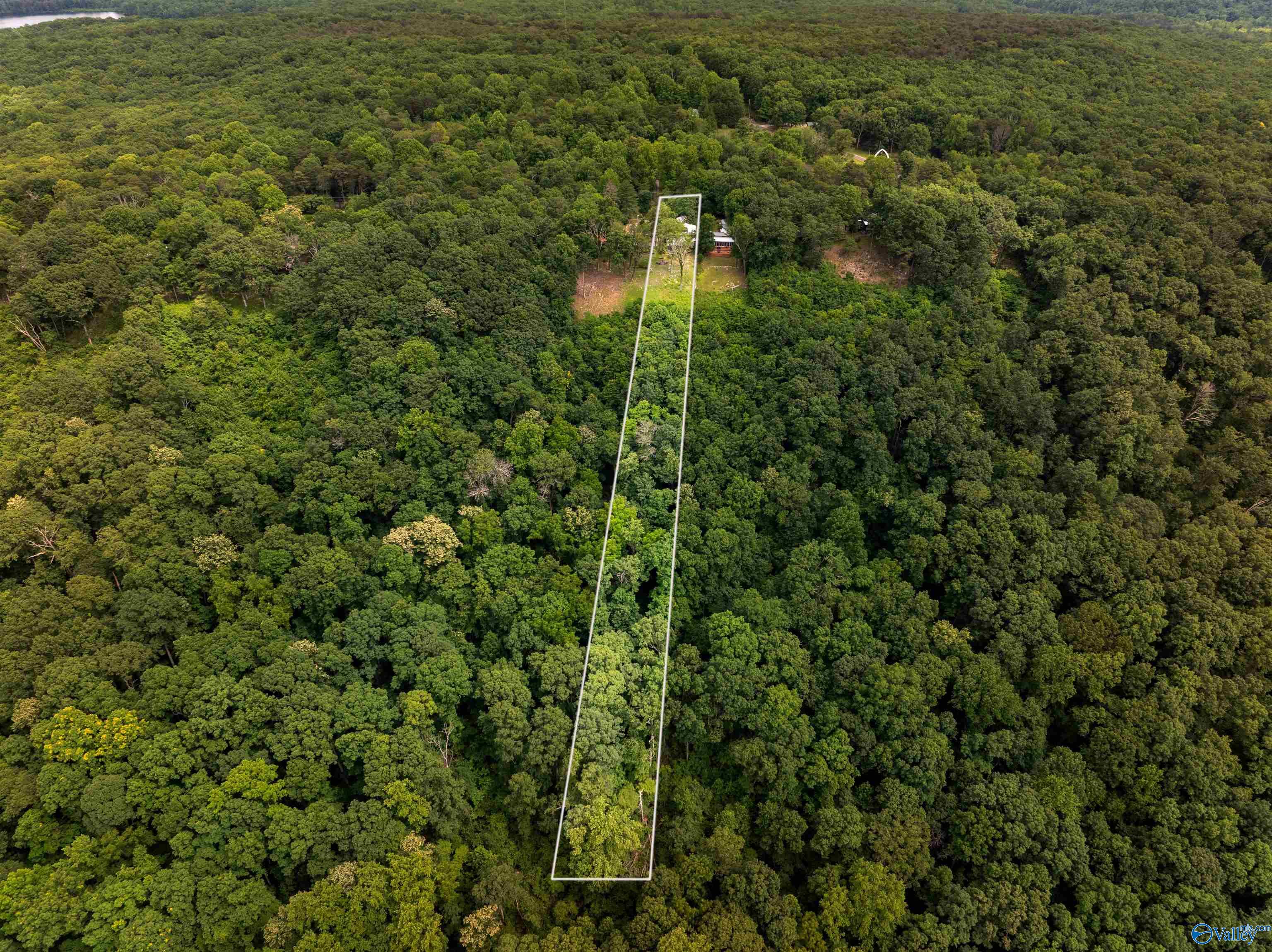 16565 County Road 89, Mentone, Alabama image 16