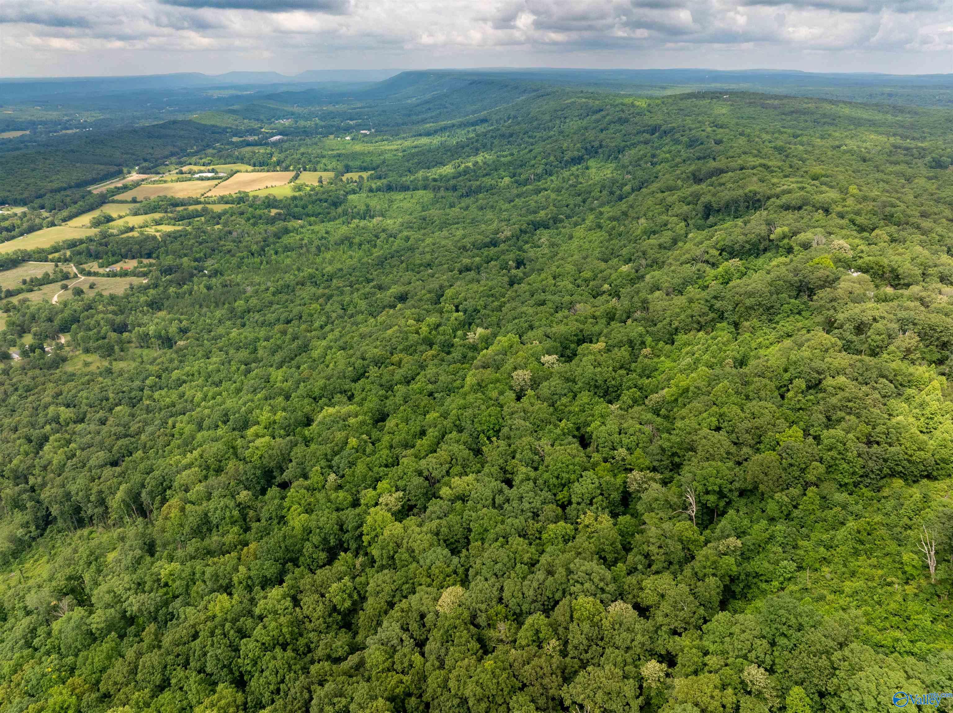 16565 County Road 89, Mentone, Alabama image 30