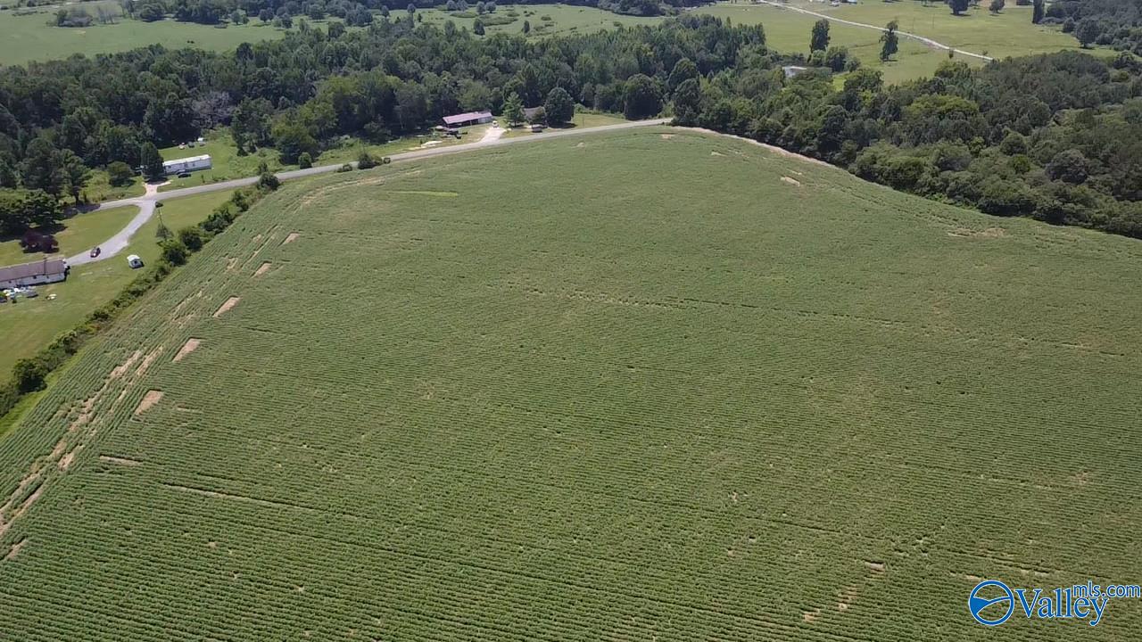 Lot 9 County Road 68, Section, Alabama image 7