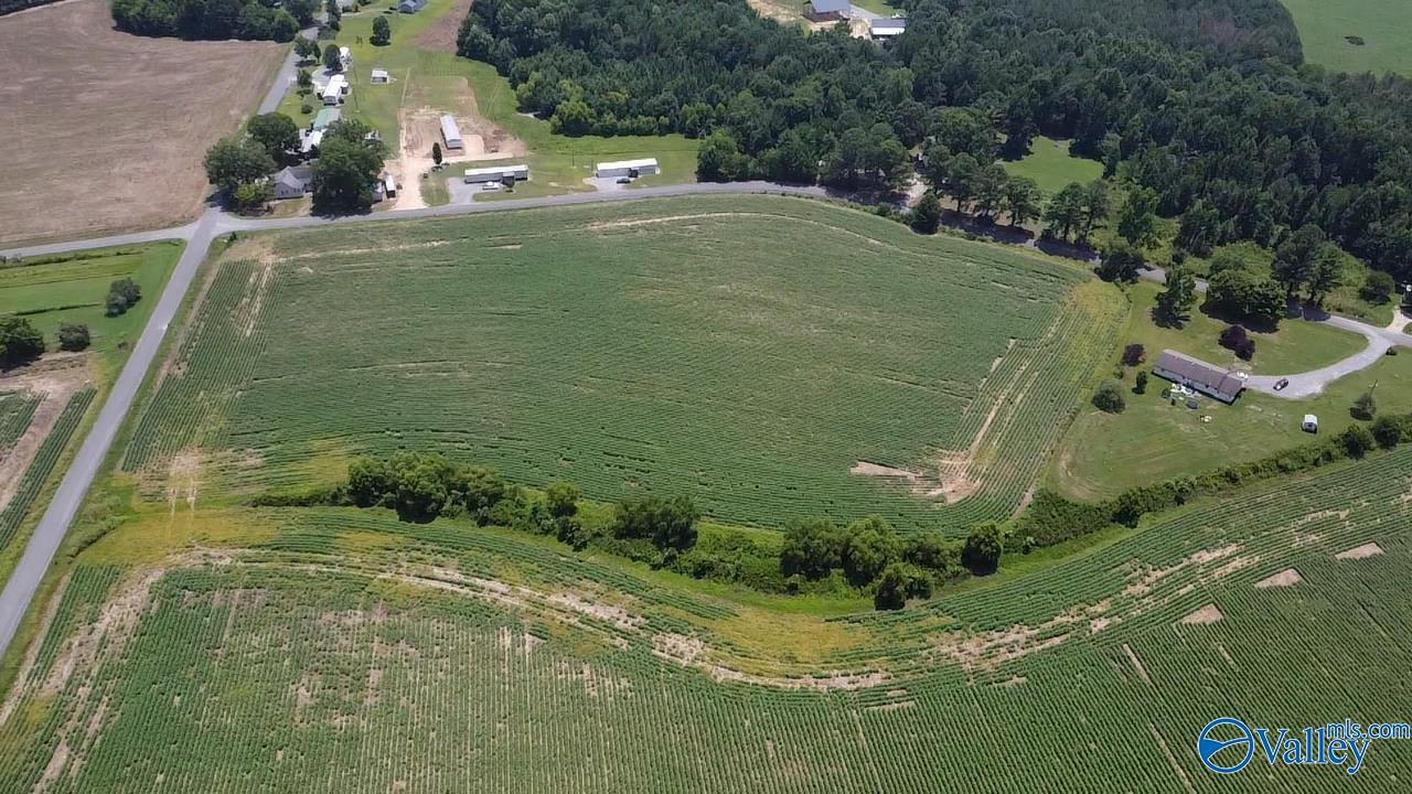 Lot 9 County Road 68, Section, Alabama image 13