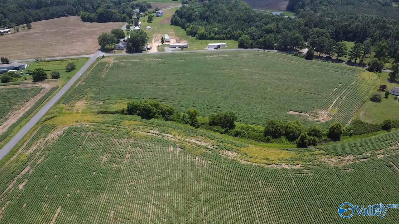 Lot 9 County Road 68, Section, Alabama image 2