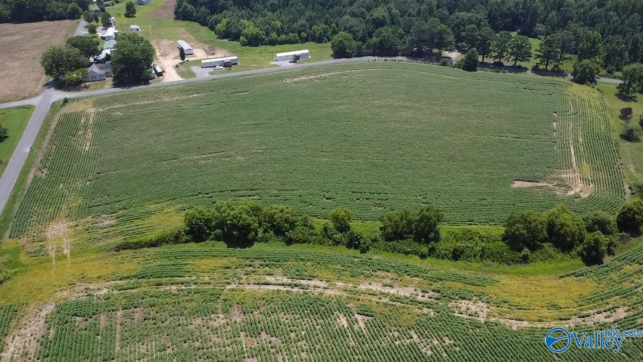 Lot 9 County Road 68, Section, Alabama image 11