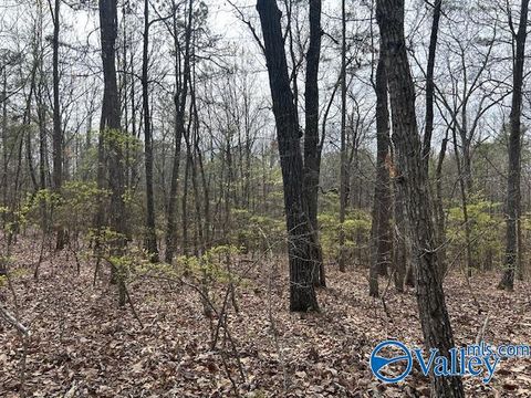Vacant Land For Sale - 12 Peck Mountain Road<br/> Eva, AL 35621