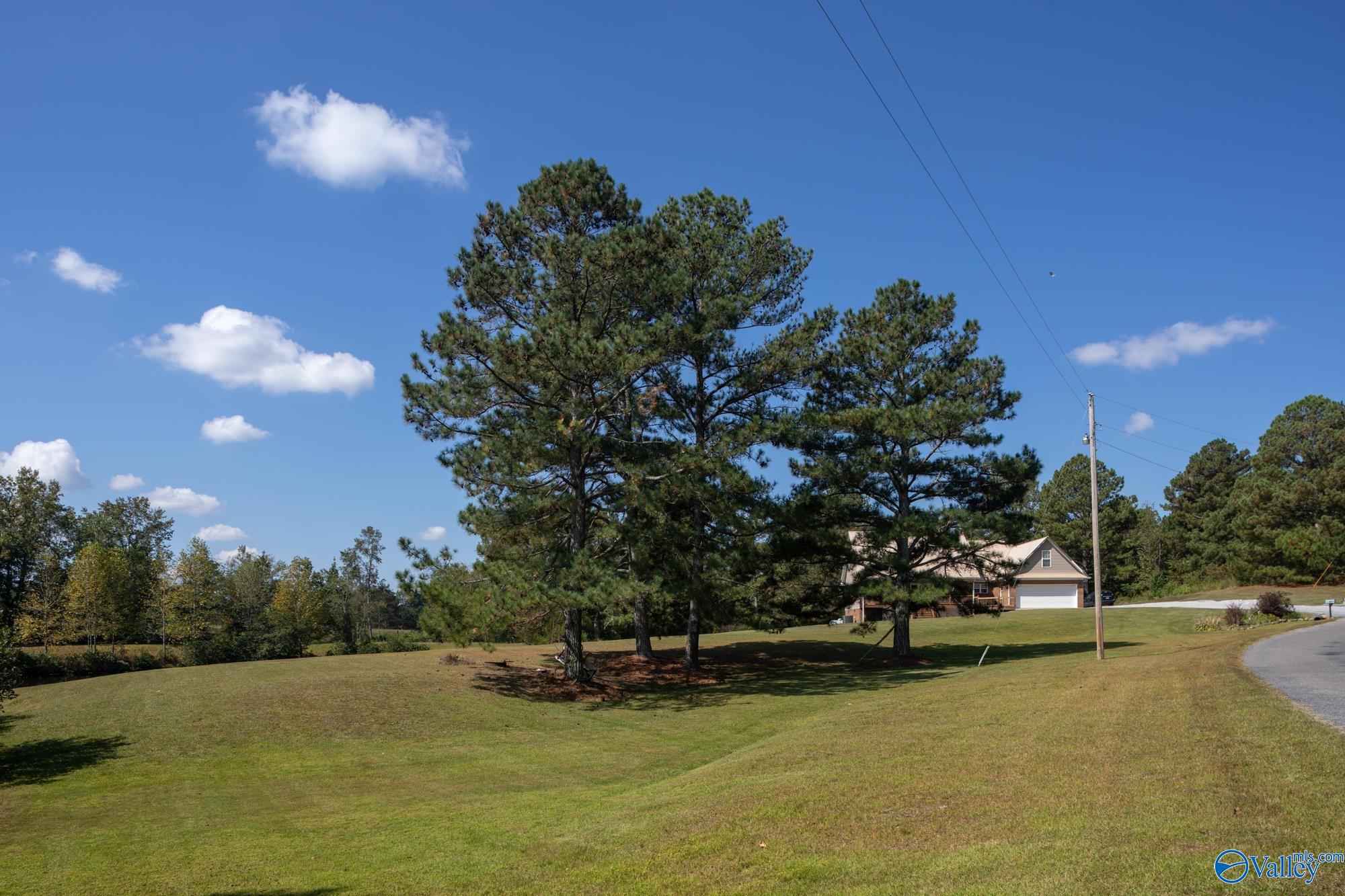 461 County Road 616, Fort Payne, Alabama image 2