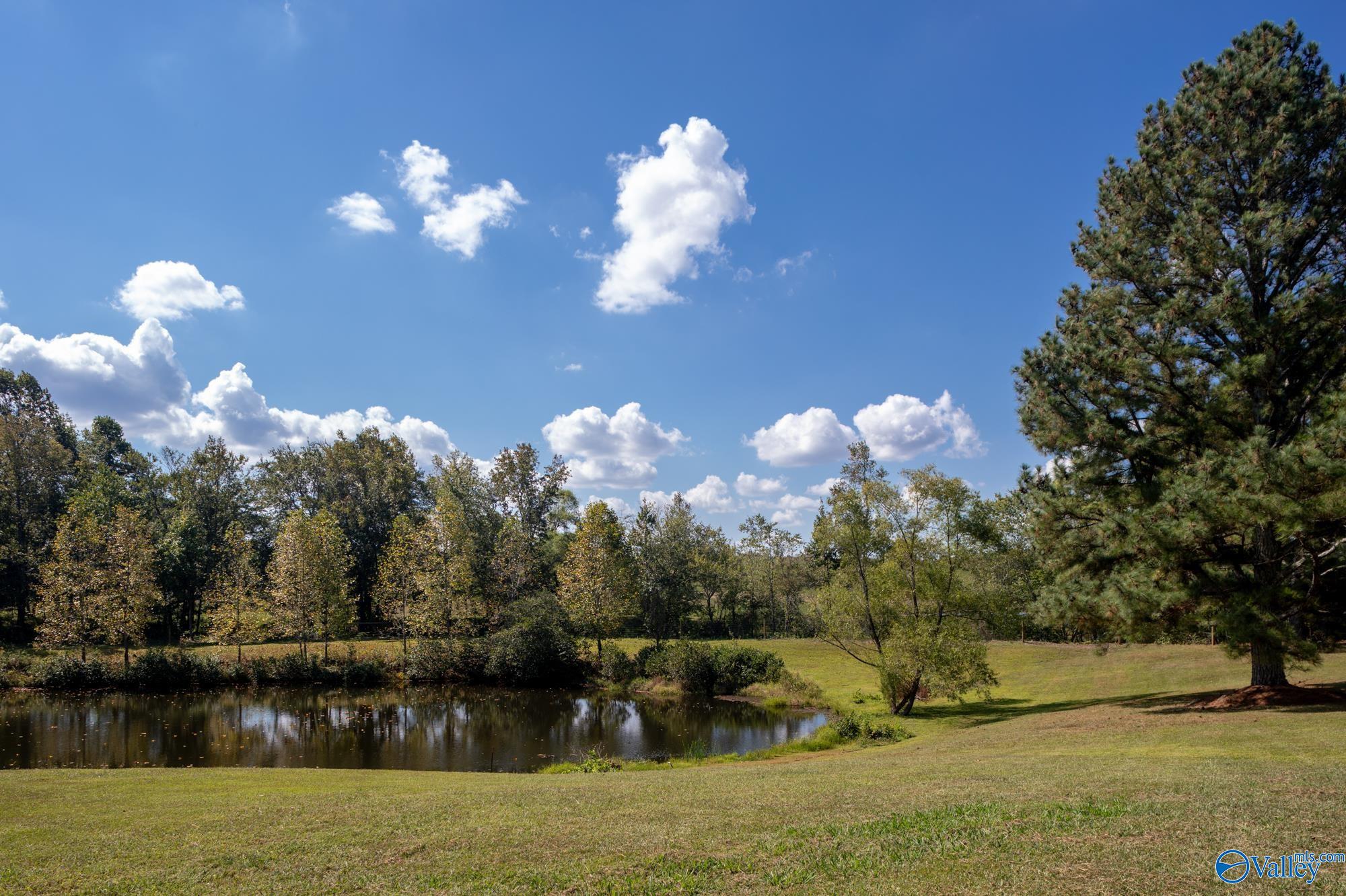 461 County Road 616, Fort Payne, Alabama image 8