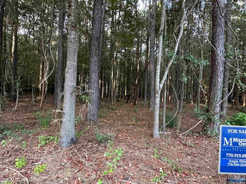 Vacant Land For Sale - 24 County Road 1011 #30<br/> Cherokee County, Centre, AL 35960