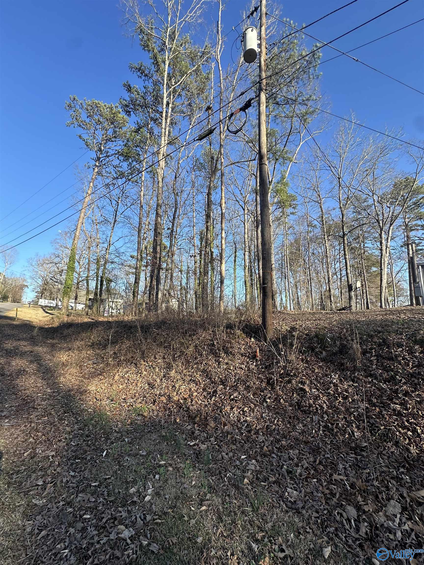 1631 Forrest Green Circle, Southside, Alabama image 3