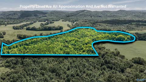 Vacant Land For Sale - 70 ACRES County Road 283<br/> Dekalb County, Collinsville, AL 35961