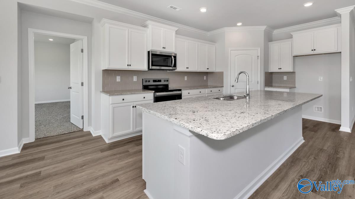 547 East River Landing Blvd, Madison, Alabama image 4