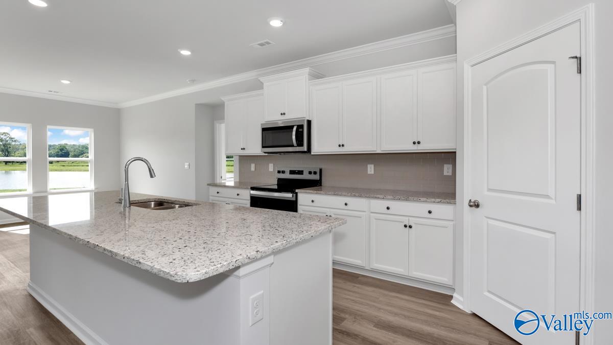 547 East River Landing Blvd, Madison, Alabama image 3