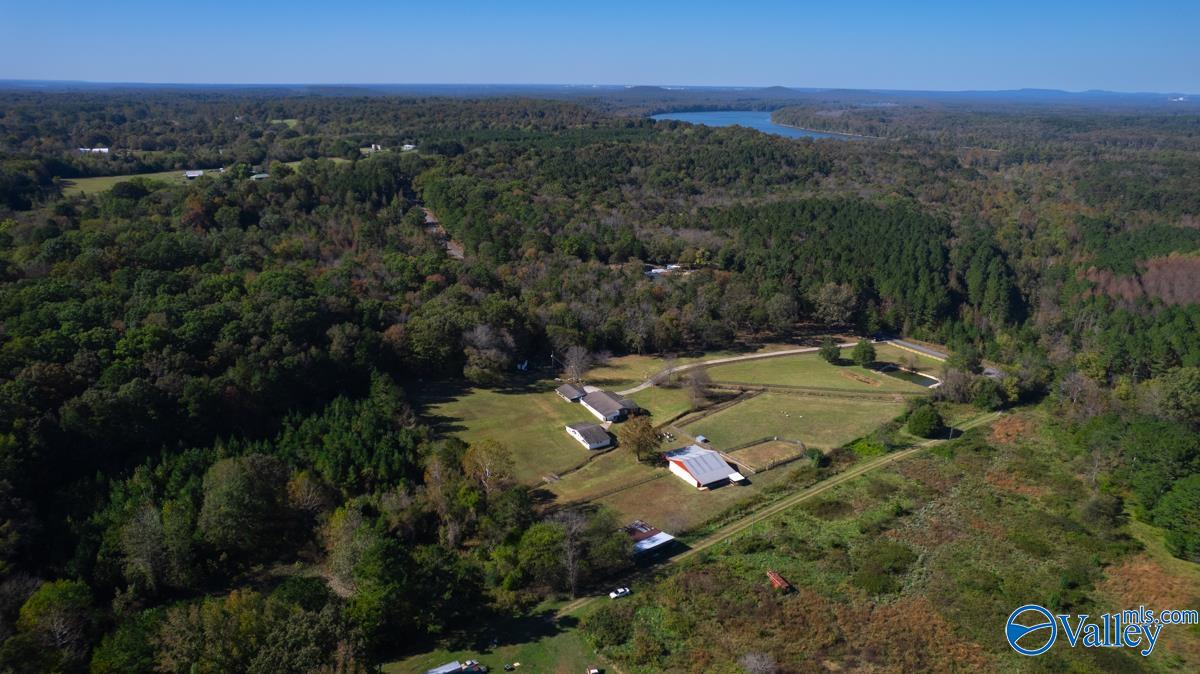 357 Cabbage Patch Road