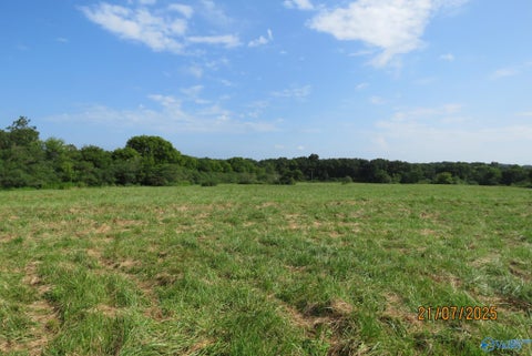 Vacant Land For Sale - TRACT 9 Brown Road<br/> Boaz, AL 35957