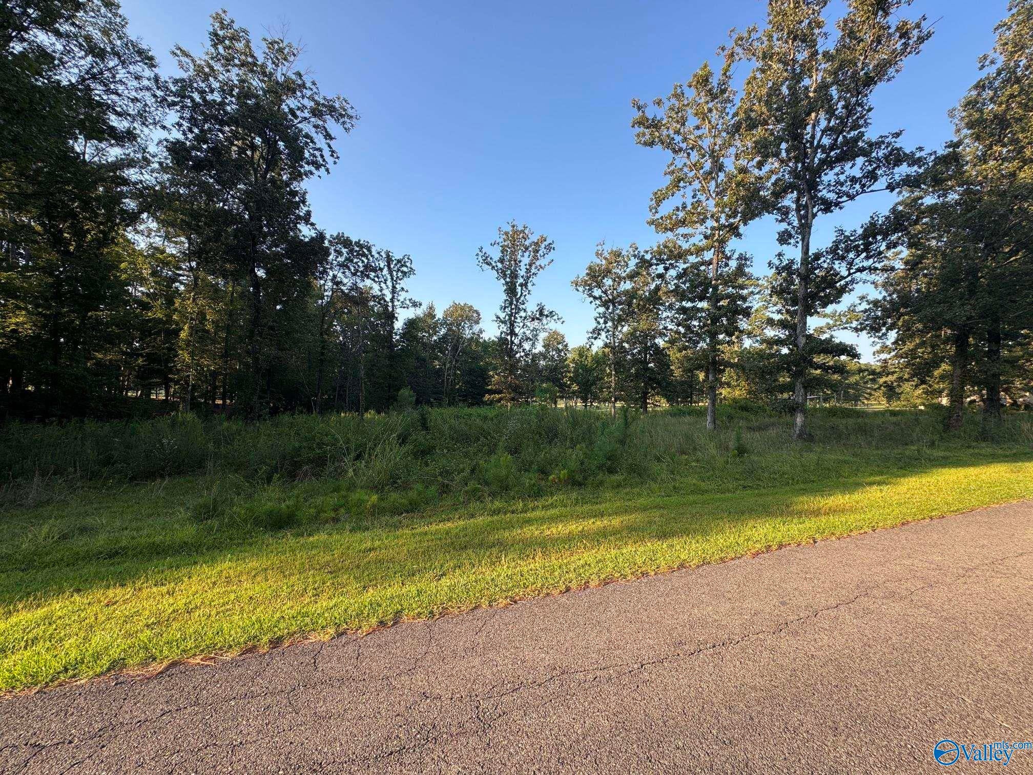 Lot 7 County Road 380