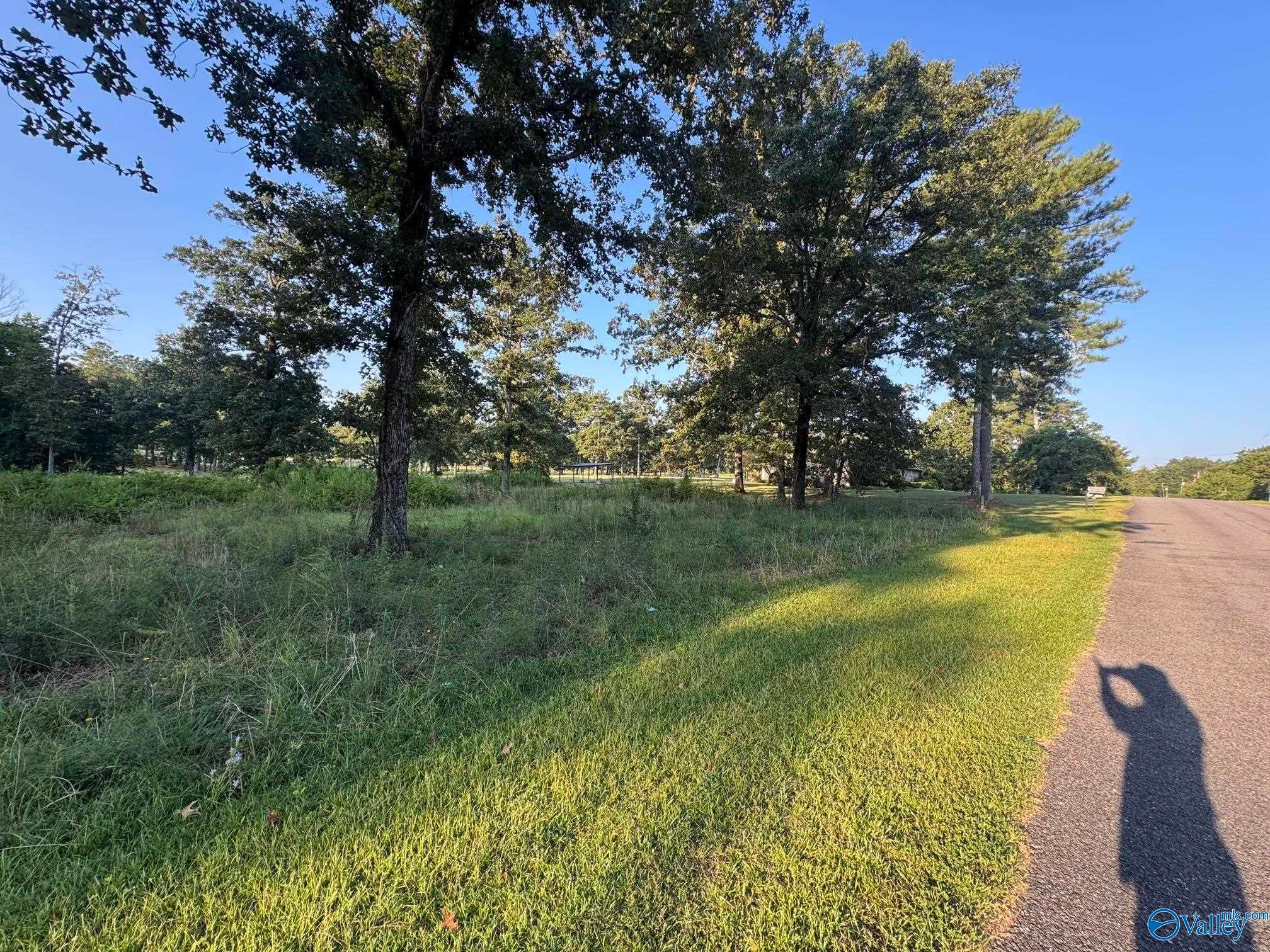 Lot 7 County Road 380