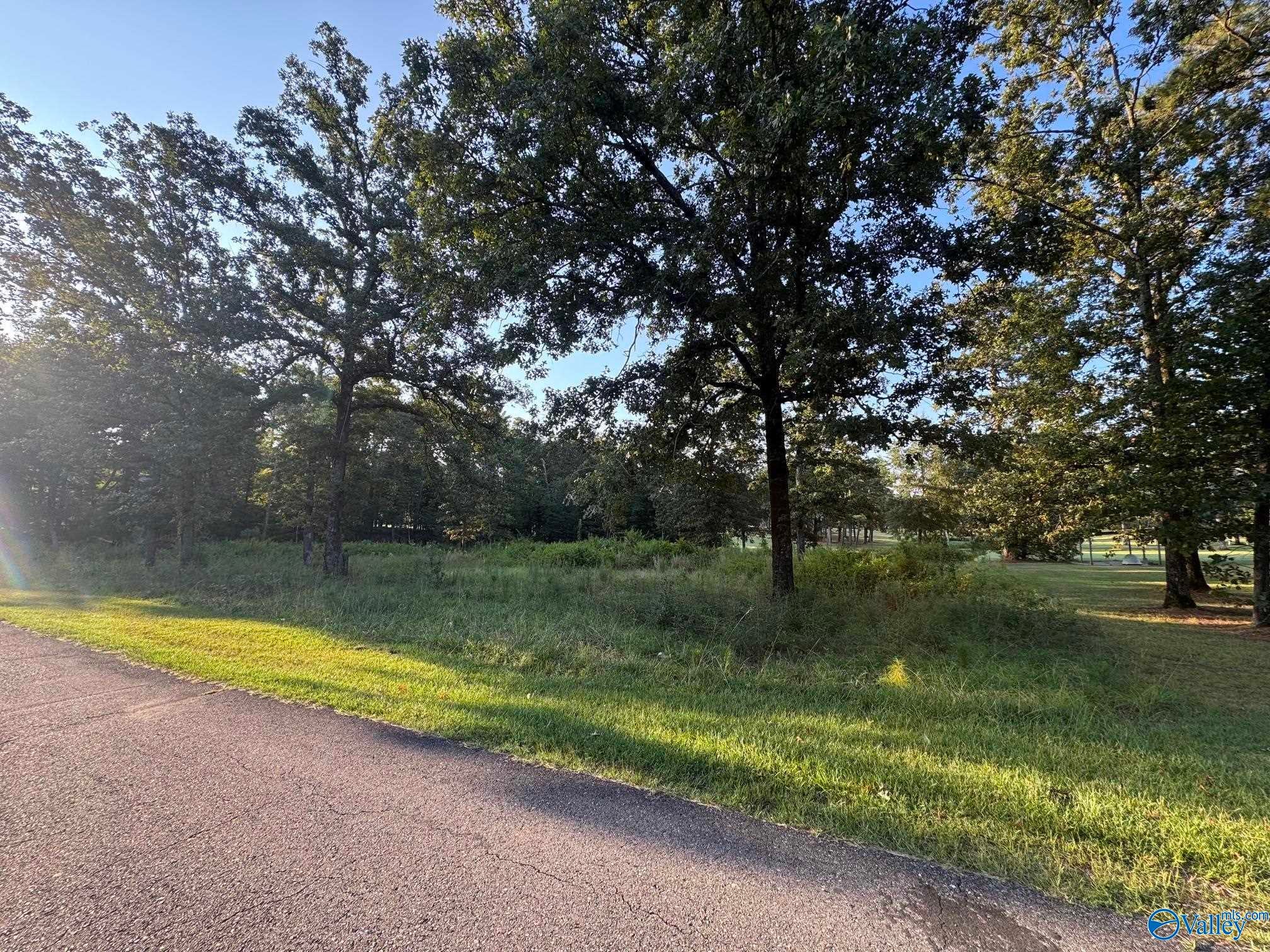 Lot 7 County Road 380