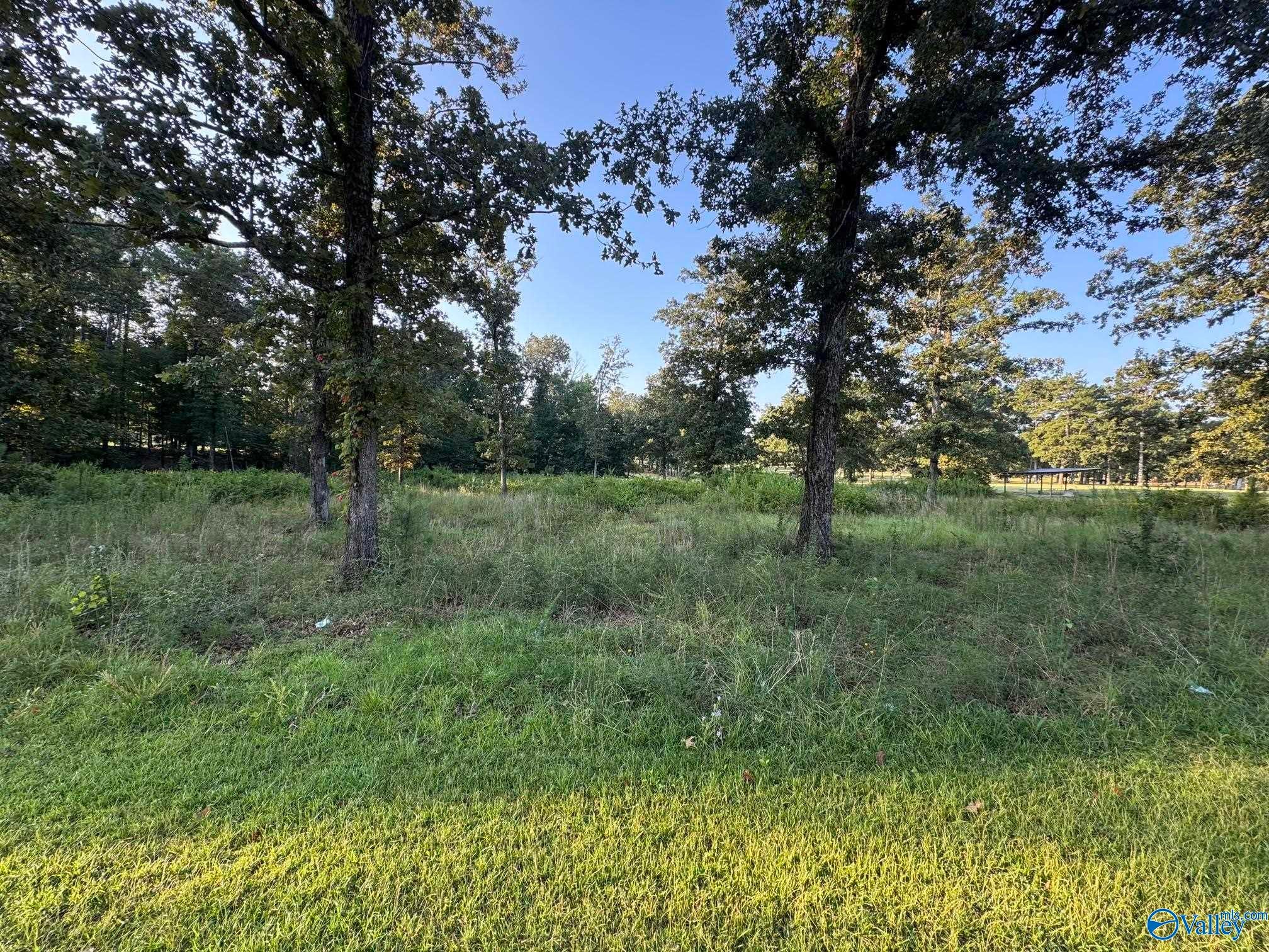 Lot 7 County Road 380