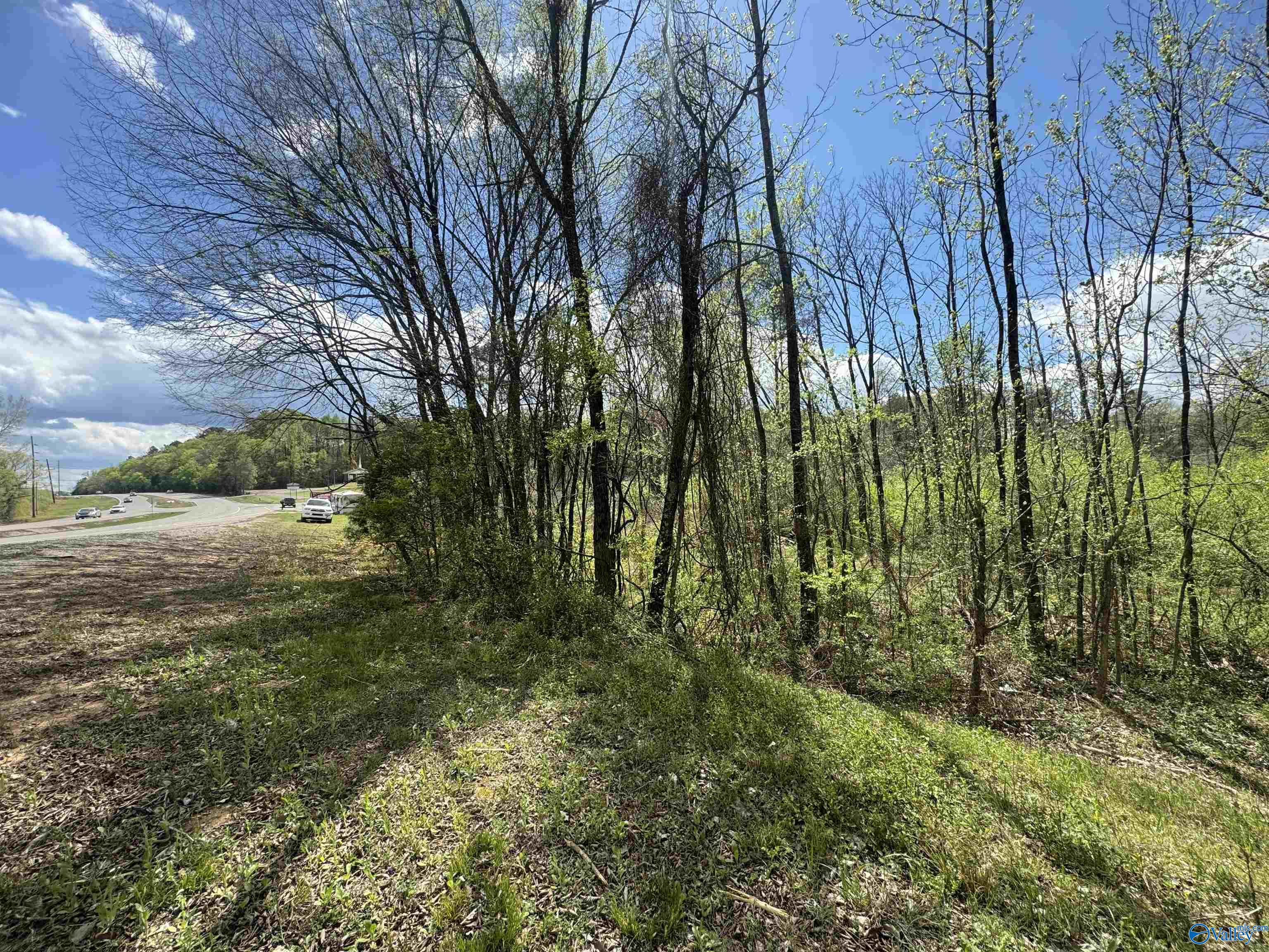 Lot 4 W Highway 31, Decatur, Alabama image 6