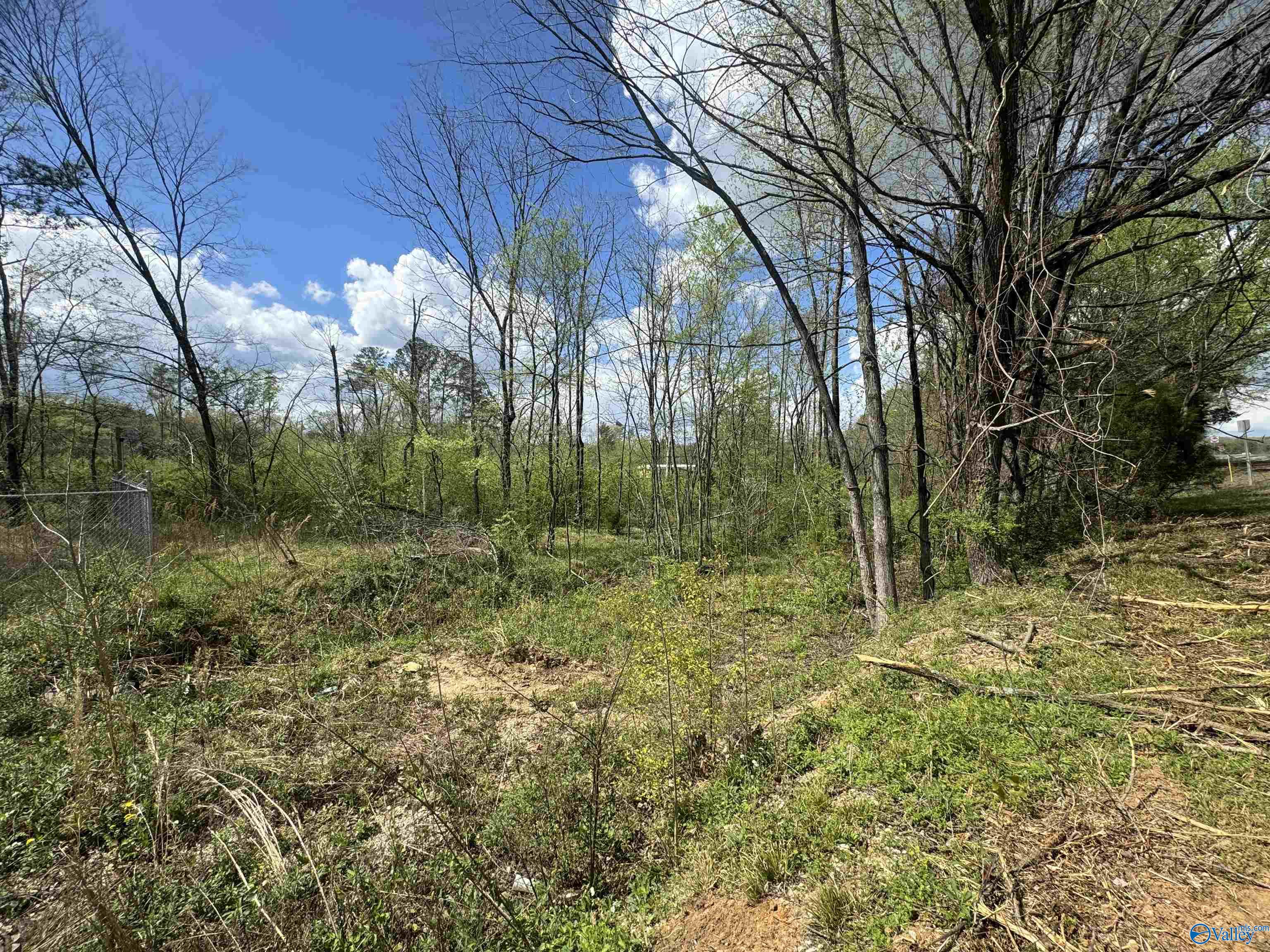 Lot 4 W Highway 31, Decatur, Alabama image 8