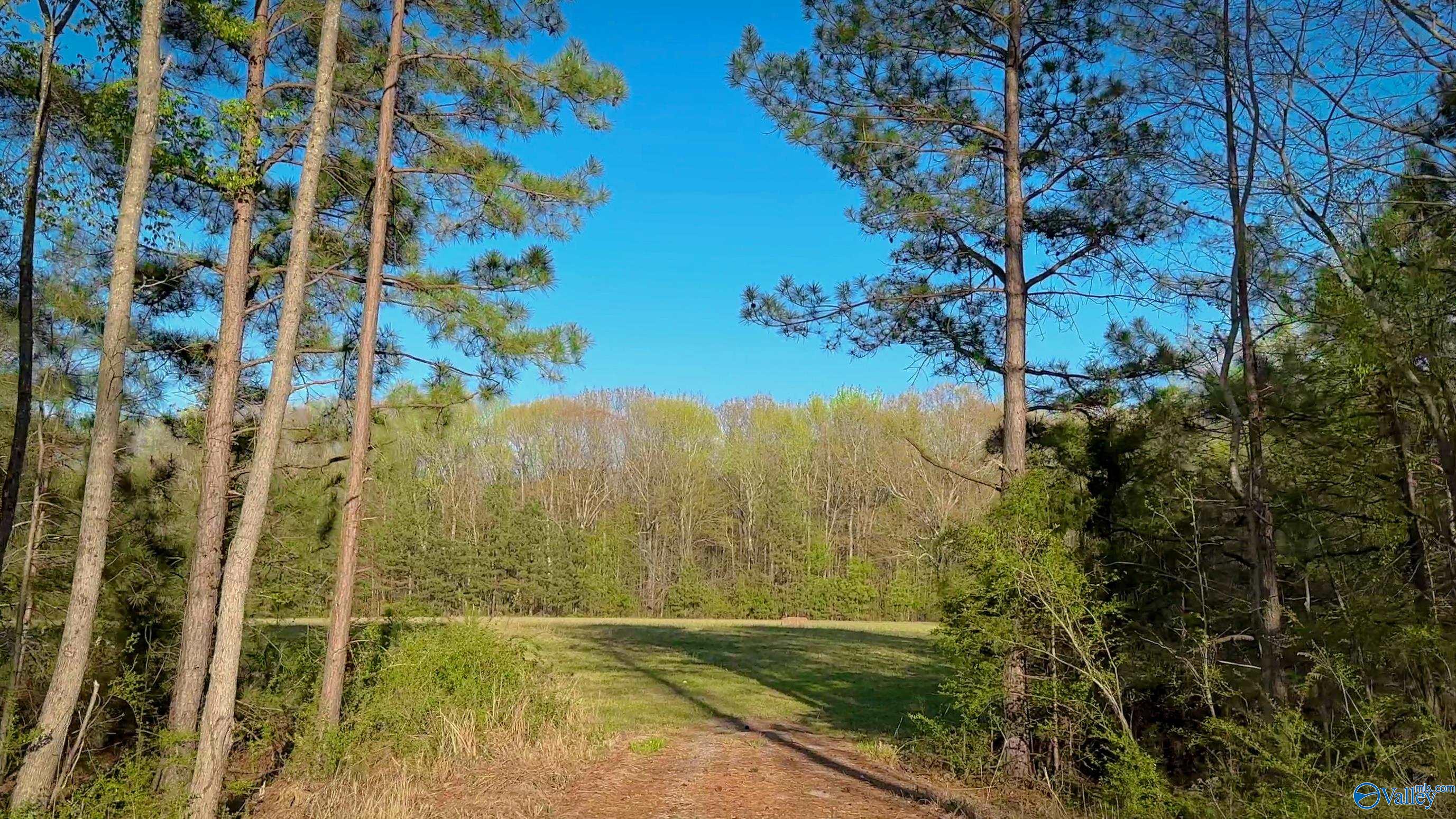 Lot 2- 4210 Bennich Road, Decatur, Alabama image 17