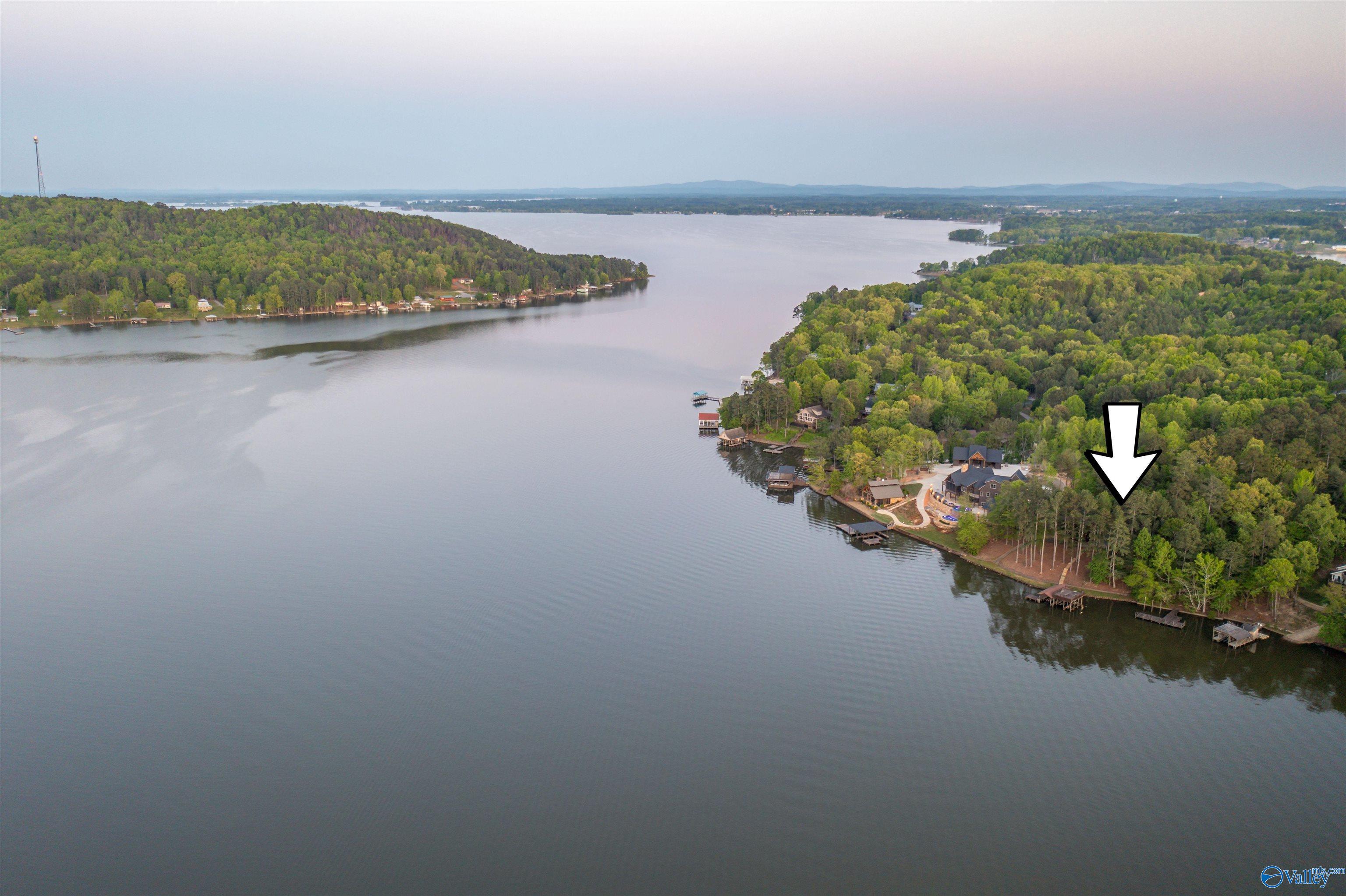 95 County Road 919, Leesburg, Alabama image 20