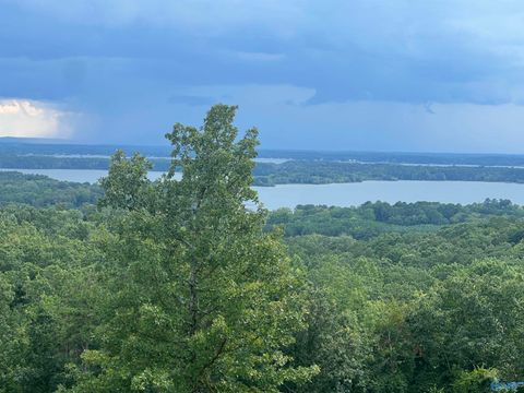 Vacant Land For Sale - LOT 40 County Road 767<br/> Cherokee County, Cedar Bluff, AL 35959