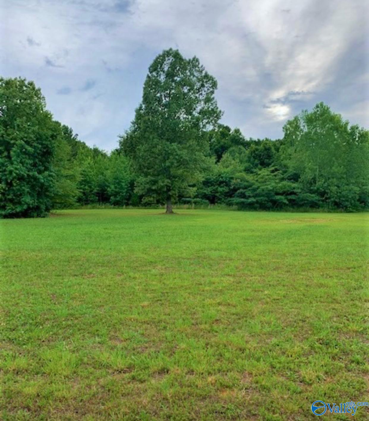 Lot 3- 4210 Bennich Road, Decatur, Alabama image 20