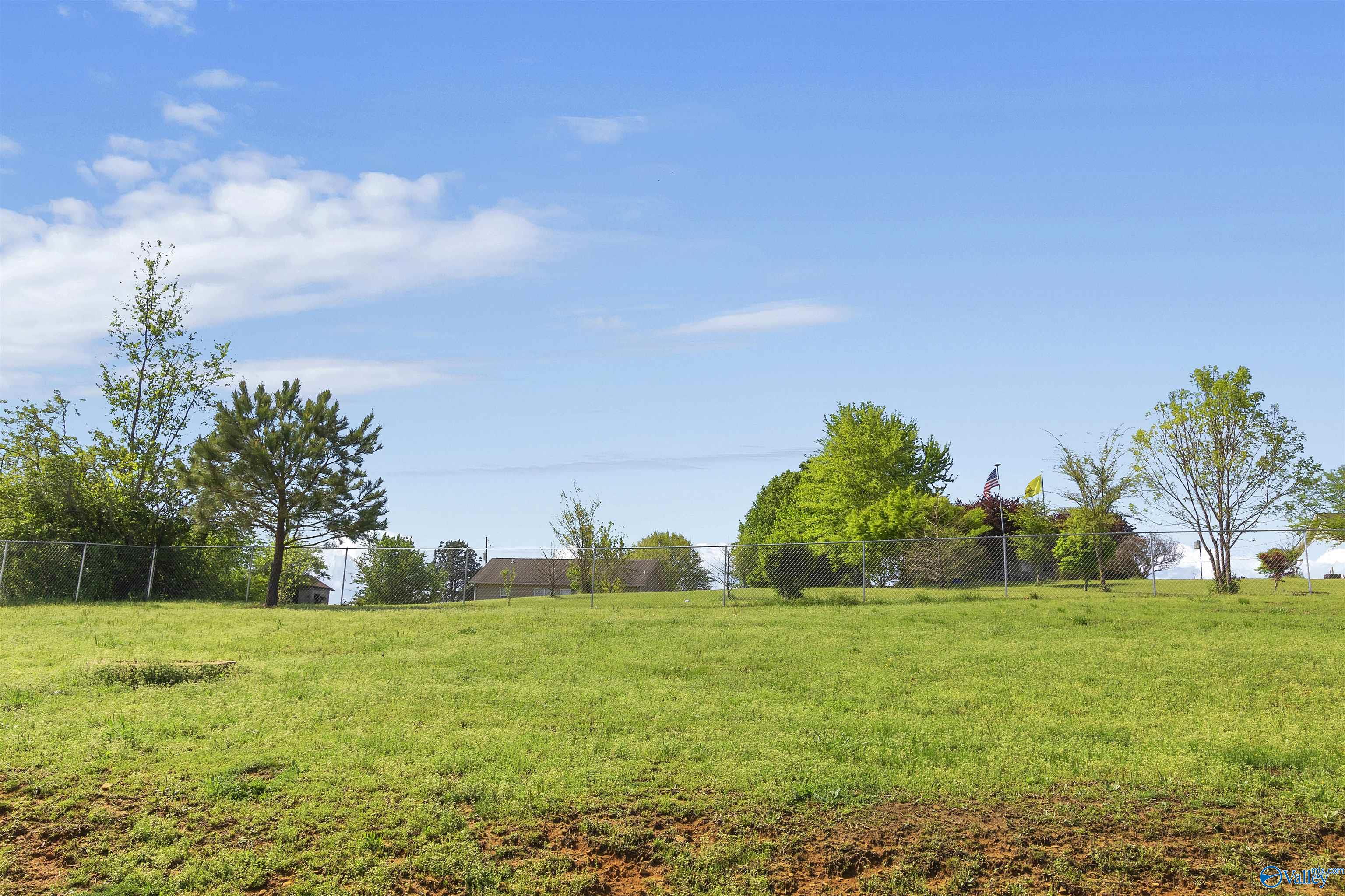 155 Fowler Springs Road, Blountsville, Alabama image 27