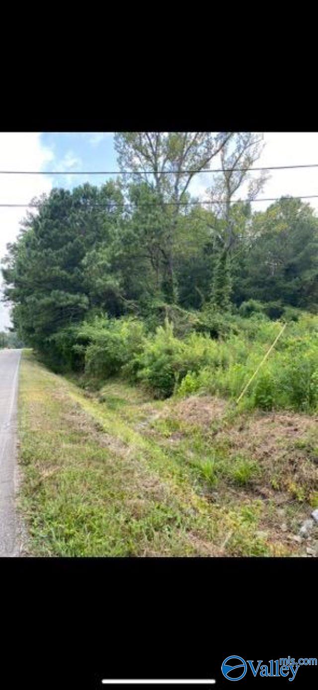 1.49 Acres Tabor Road, Gadsden, Alabama image 1