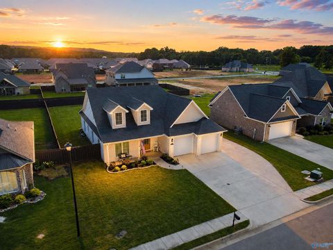 Homes For Sale - 3013 Lisa Lane<br/> Morgan County, Decatur, AL 35603