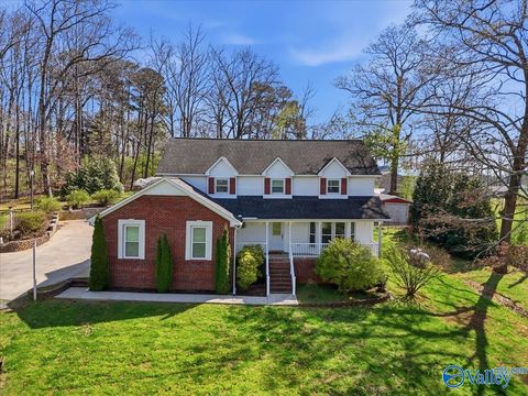 Photo of 216 Carolyn Road, Hazel Green, AL 35750 (MLS # 21913444)