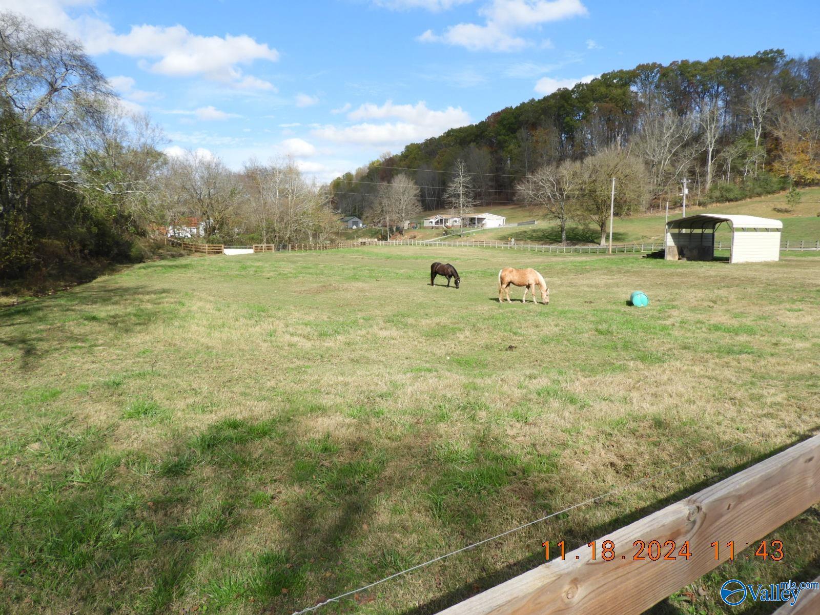 790 Blooming Grove Road, Pulaski, Tennessee image 28