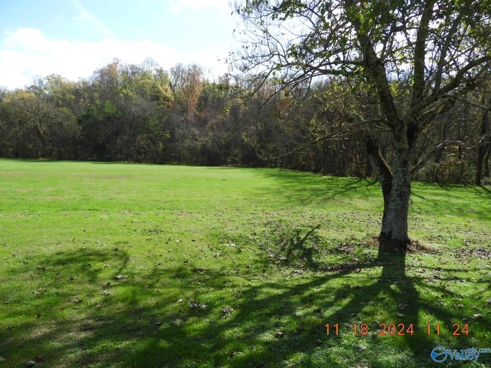 790 Blooming Grove Road, Pulaski, Tennessee image 12