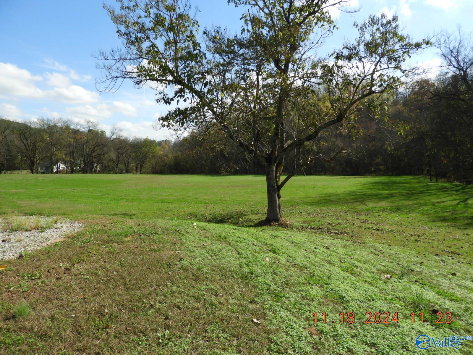 790 Blooming Grove Road, Pulaski, Tennessee image 7