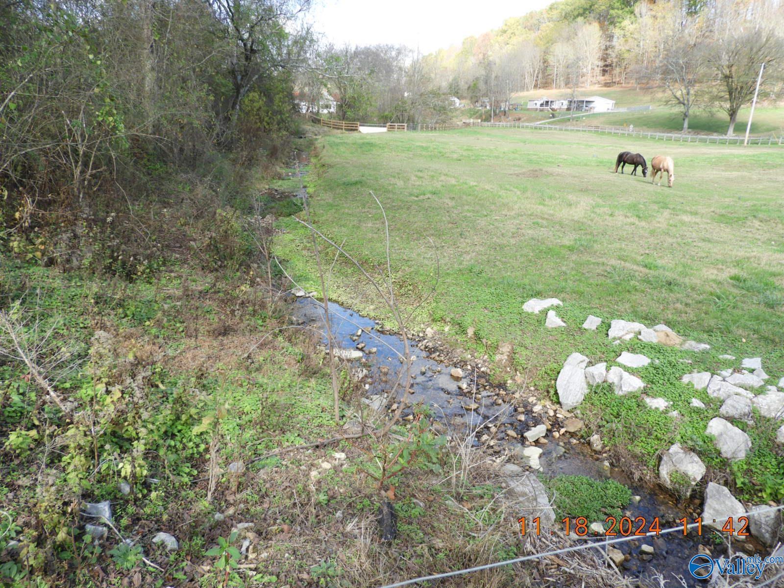 790 Blooming Grove Road, Pulaski, Tennessee image 26