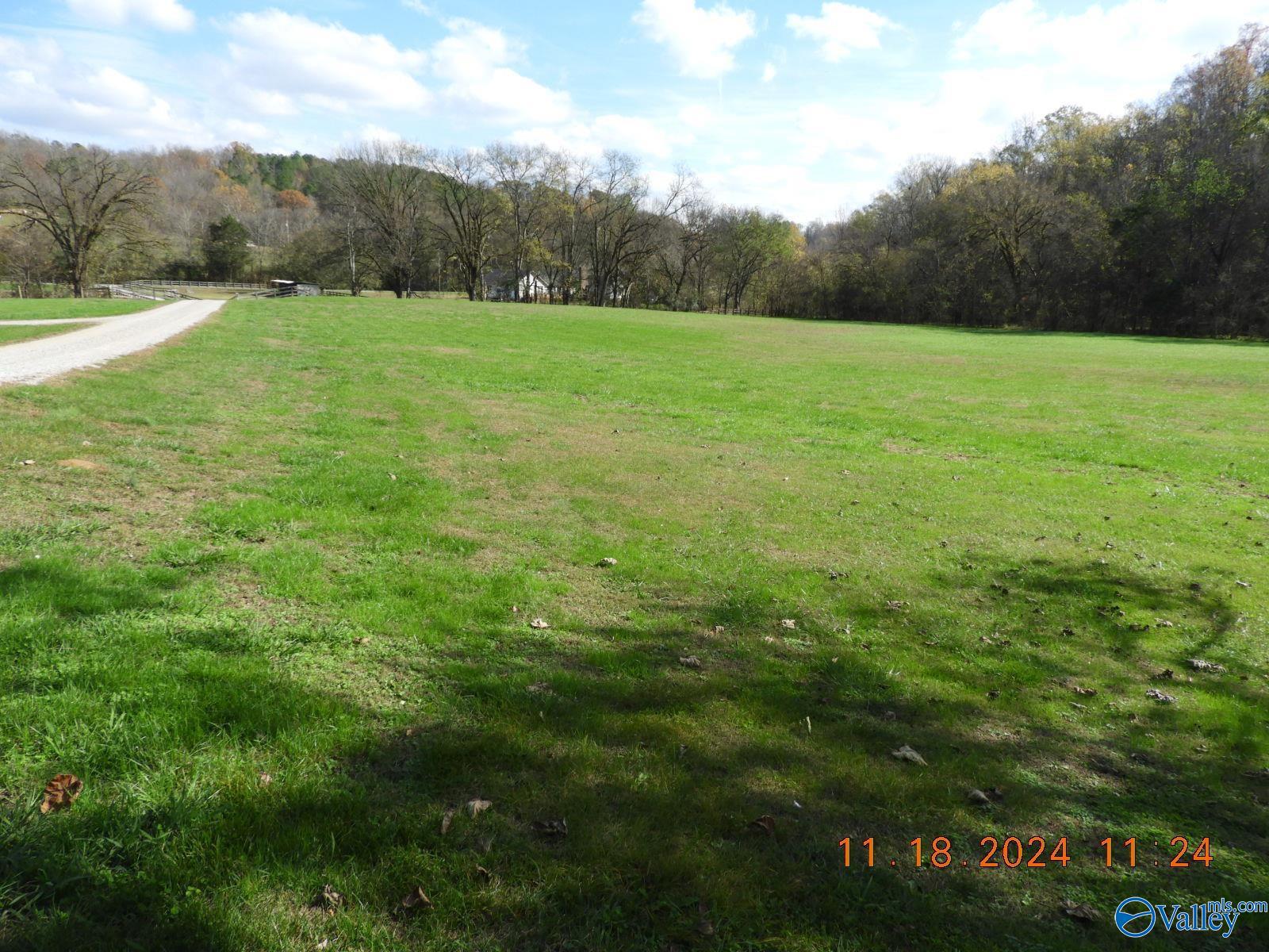 790 Blooming Grove Road, Pulaski, Tennessee image 15