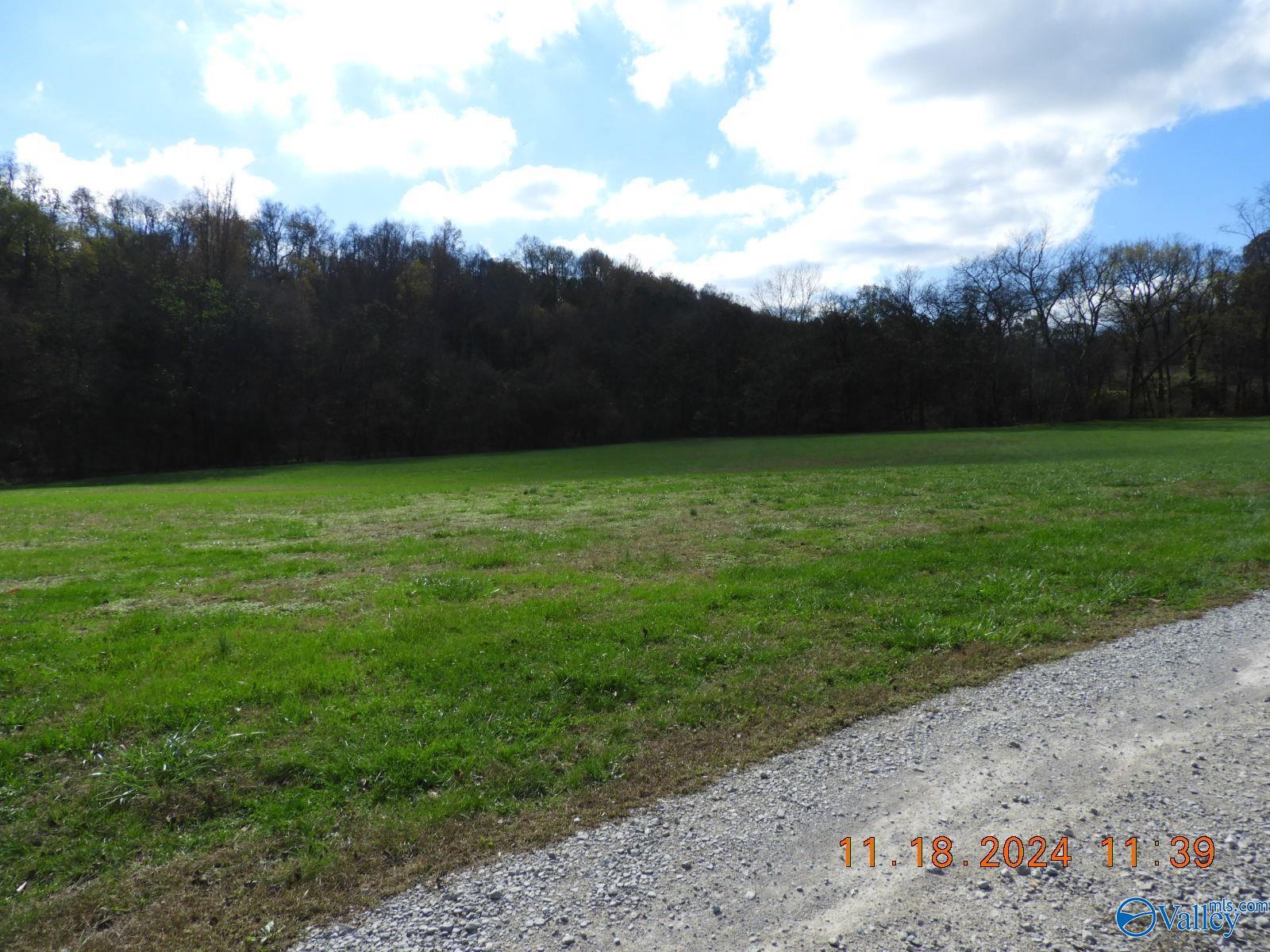 790 Blooming Grove Road, Pulaski, Tennessee image 21